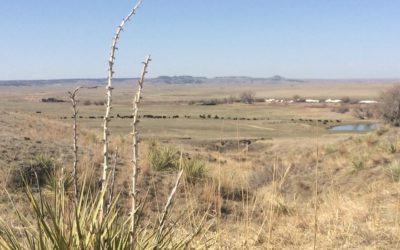 Prairie vistas have shaped my life, but not everyone shares the same outlook