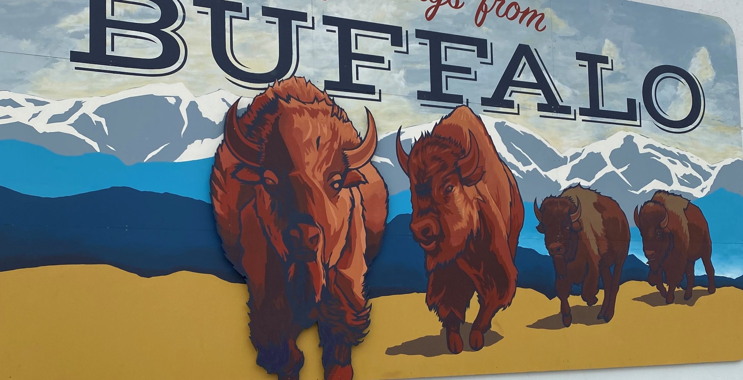 buffalo1