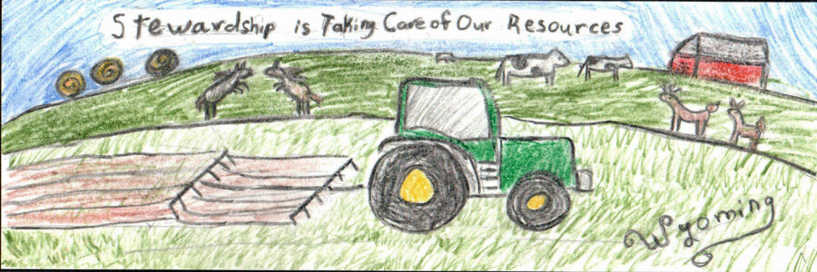 stewardship marketing plan