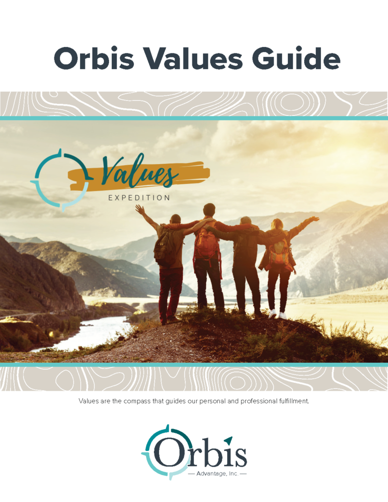 cover of Orbis Values Guide